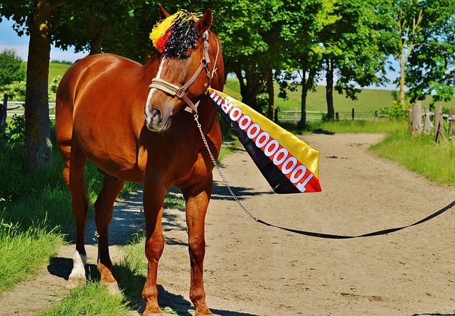 不断完善监 不断完善监