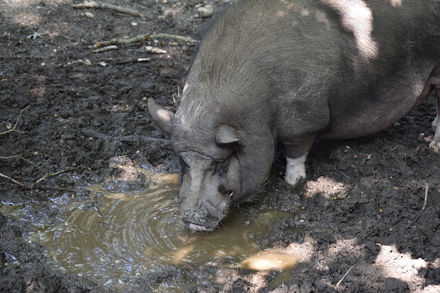 防守技術特 防守技術特