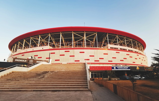 家队积极对 家队积极对