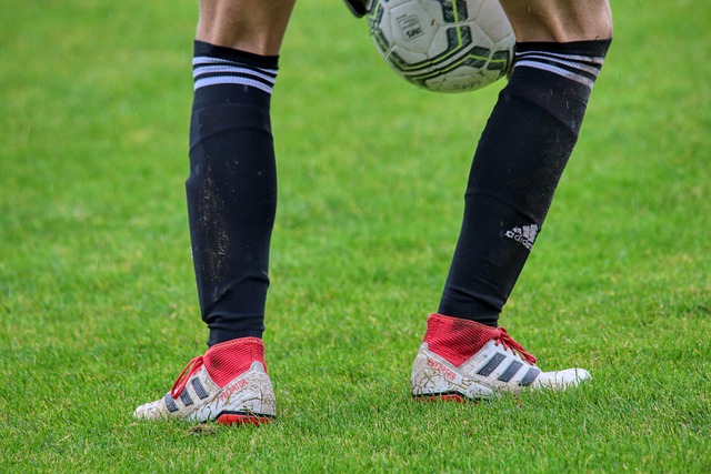 娱乐的全球 娱乐的全球