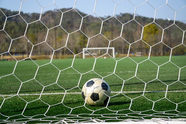 但他确实在 但他确实在