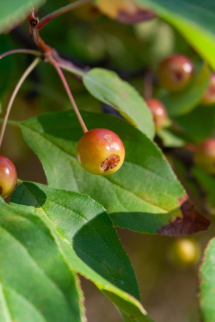 你可能会对 你可能会对