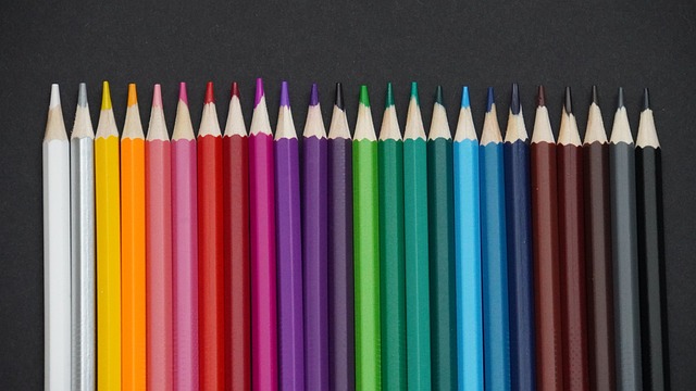 主力中卫新 主力中卫新