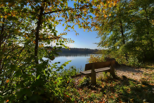 篮球素材免 篮球素材免