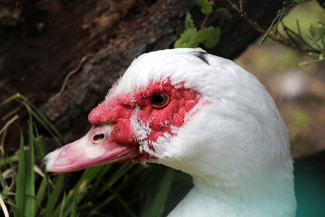 运奖牌得主 运奖牌得主