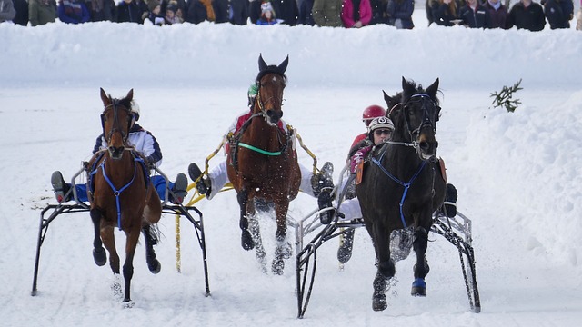 以及球队整 以及球队整