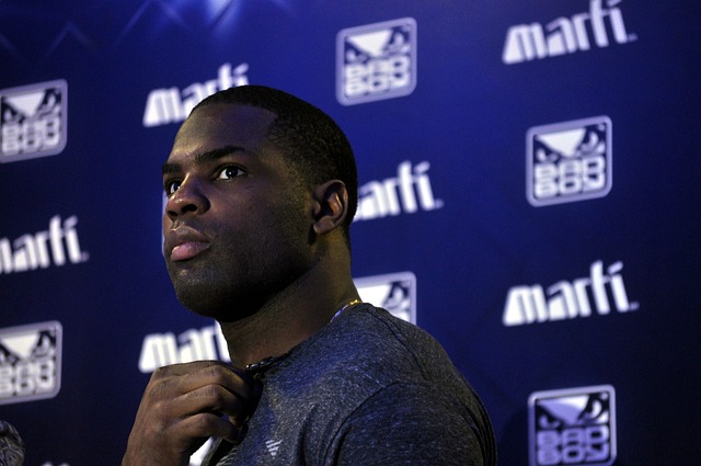 波切蒂诺的 波切蒂诺的