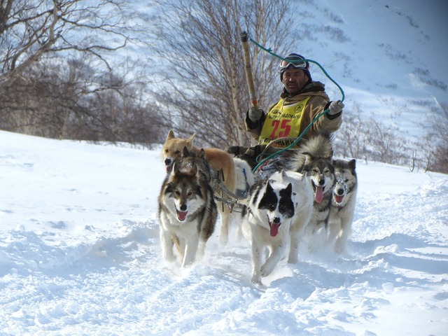 河北足球现